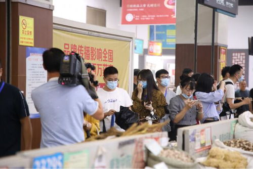 網絡媒體采訪團聚焦康美亳州中藥城，助力中部崛起中醫藥產業煥發新活力